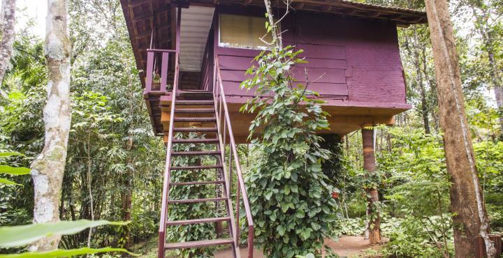 Sunbird Garden Resort Krishnagiri Ngoại thất bức ảnh